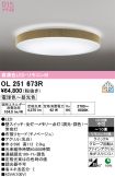 OL251673R