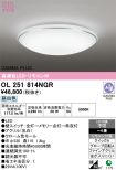 OL251814NGR