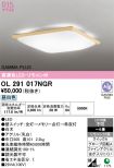 OL291017NGR