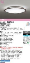 OL291319BCR