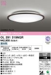 OL291319NGR
