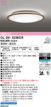 OL291323BCR