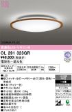 OL291323GR