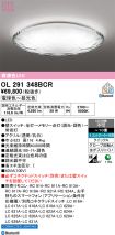 OL291348BCR