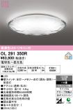 OL291350R