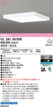 OL291507BR