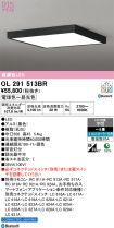 OL291513BR