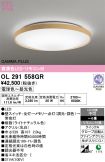 OL291558GR