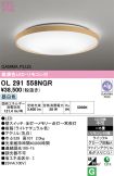 OL291558NGR