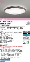 OL291559BR