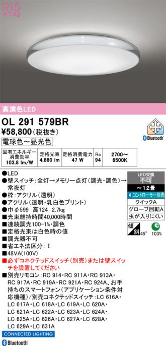 OL291579BR