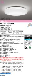 OL291589BRE