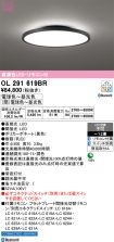 OL291619BR