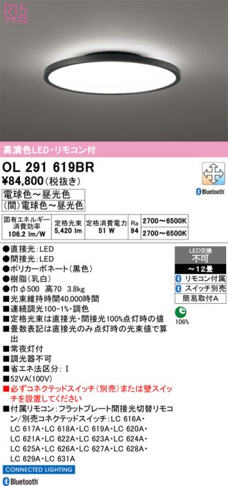 OL291619BR