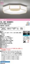 OL291658BR1