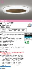 OL291667BR