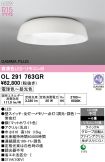 OL291763GR