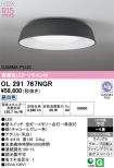 OL291767NGR