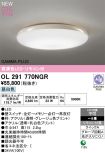 OL291770NGR