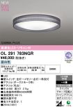 OL291783NGR