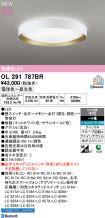 OL291787BR
