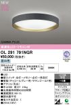 OL291791NGR