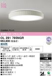 OL291795NGR