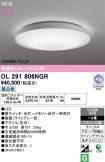 OL291806NGR