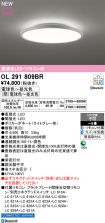OL291809BR