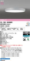 OL291830BR