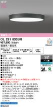 OL291833BR
