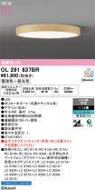 OL291837BR