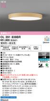 OL291839BR