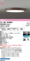 OL291844BR
