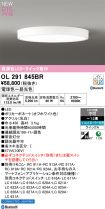 OL291845BR