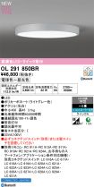 OL291850BR