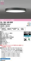 OL291851BR