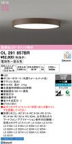 OL291857BR
