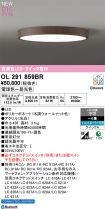 OL291859BR
