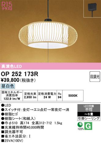 OP252173R