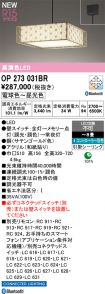 OP273031BR