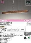 OP252531R