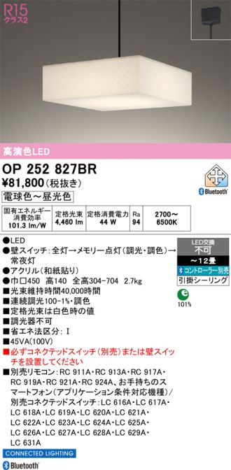 OP252827BR