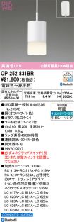 OP252831BR