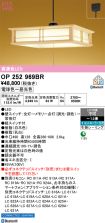 OP252969BR