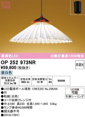 OP252973NR