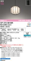 OP273081BR
