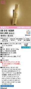 OB018163BR