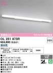 OL251873R