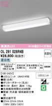 OL291028R4B